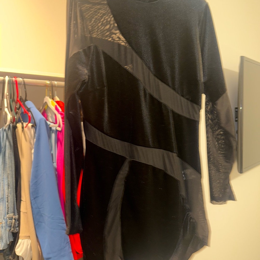 Black Sheer Long Sleeve Dress